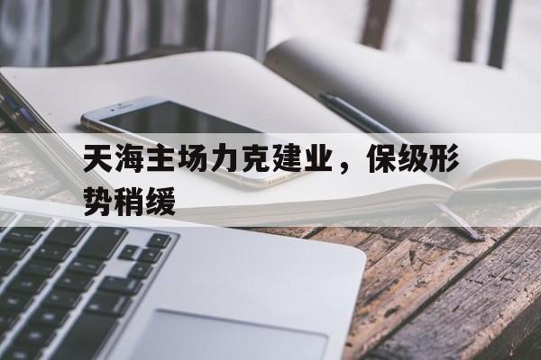 天海主场力克建业，保级形势稍缓的简单介绍